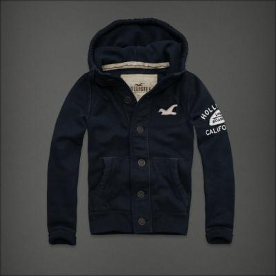 Hollister Men Hoodies-34